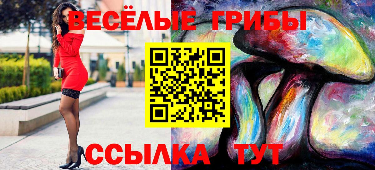Галлюциногенные грибы ЛСД Карталы